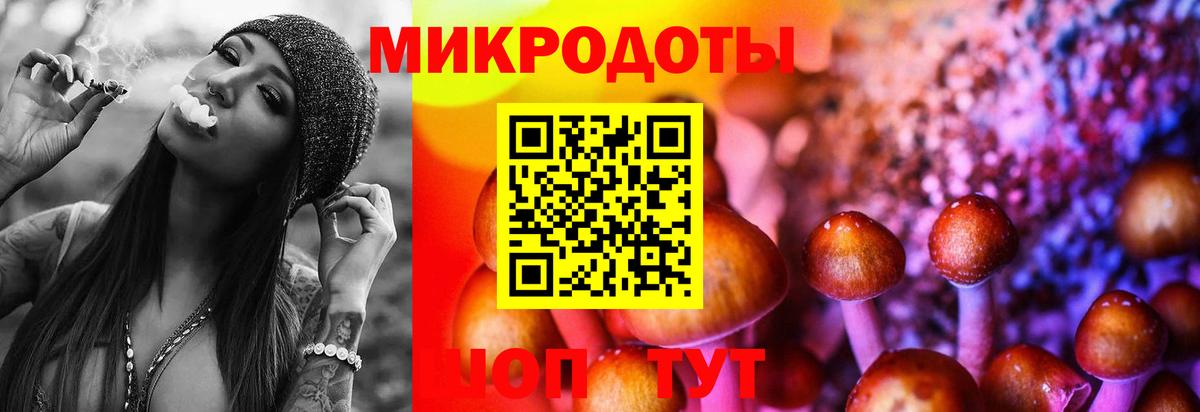 Псилоцибиновые грибы Волжск