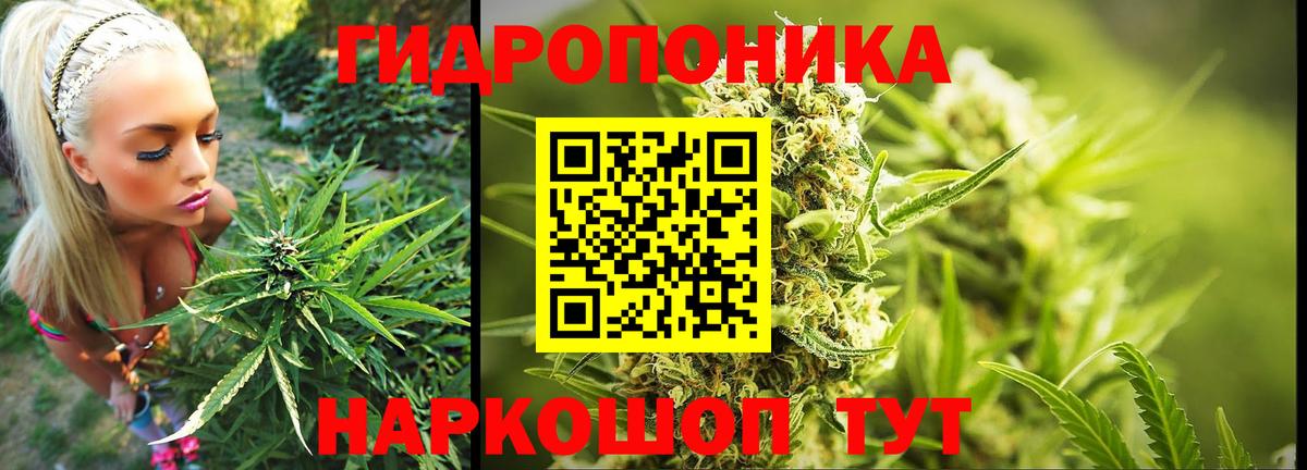МАРИХУАНА SATIVA & INDICA Волжск